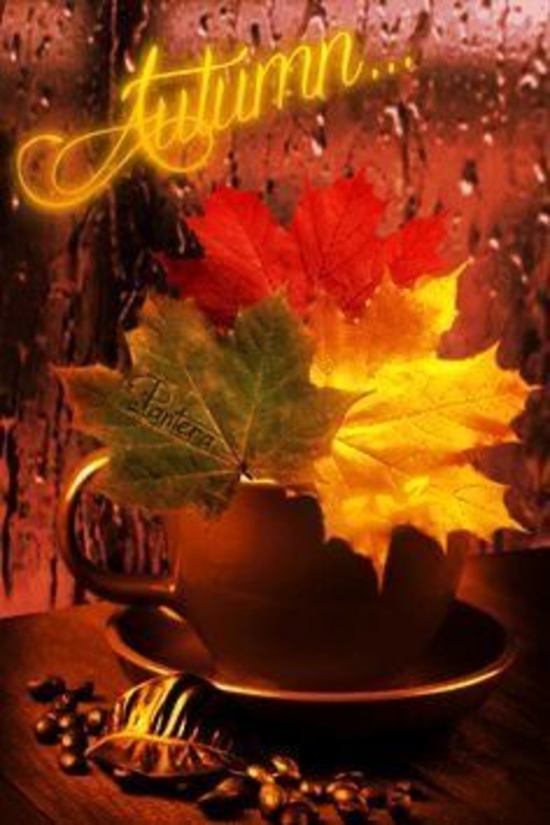10 Wonderful Fall / Autumn Pics With Quotes For The New Season - picture 5