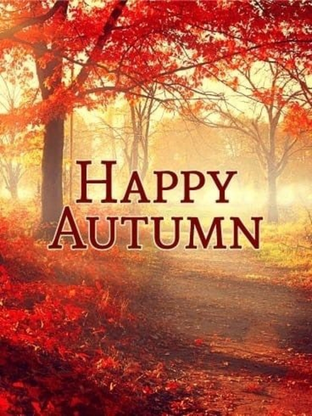 10 Wonderful Fall / Autumn Pics With Quotes For The New Season - picture 7