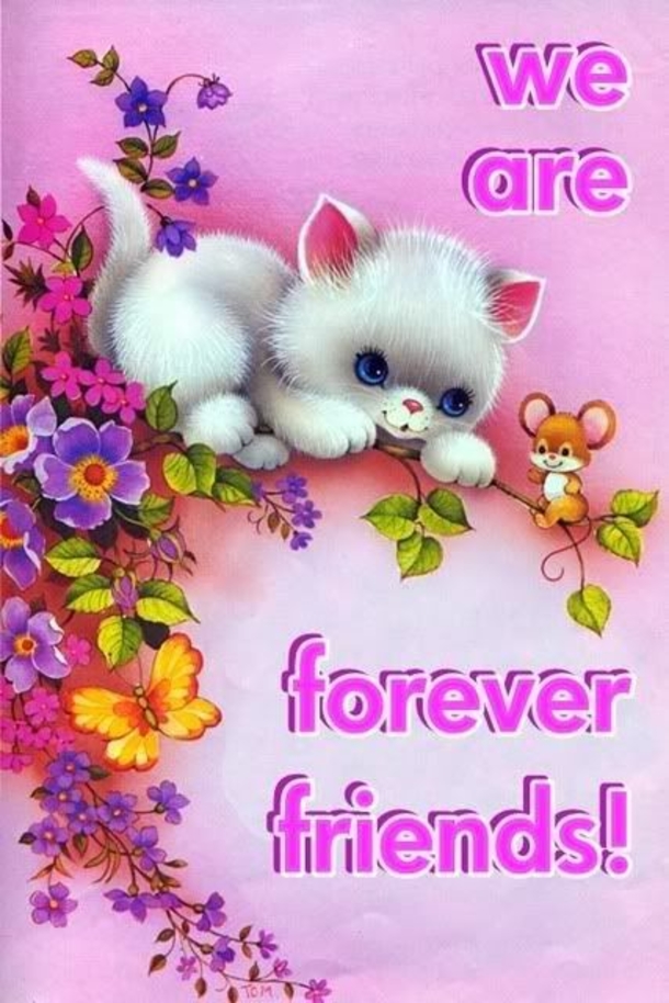 10 Wonderful Friendship Quotes And Sayings - picture 4
