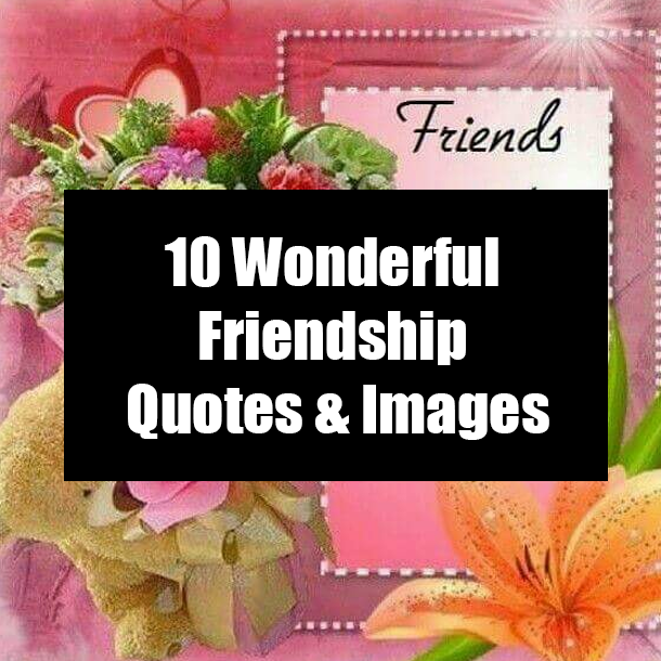 10 Wonderful Friendship Quotes & Images