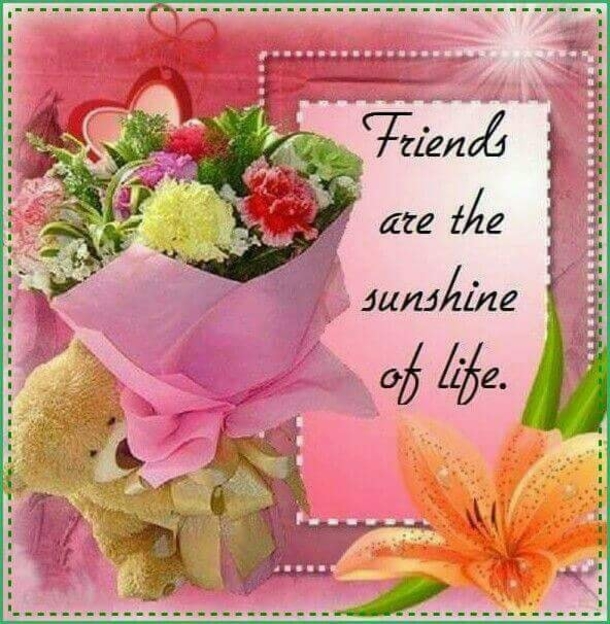 10 Wonderful Friendship Quotes & Images - picture 2