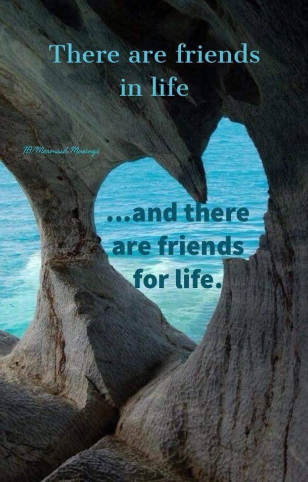 10 Wonderful Friendship Quotes & Images - picture 8