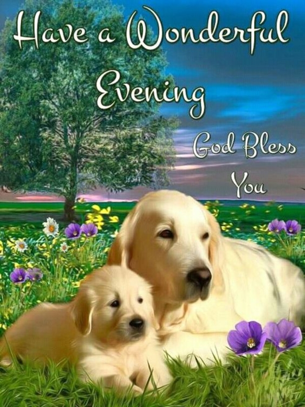 10 Wonderful Good Evening Images - picture 2