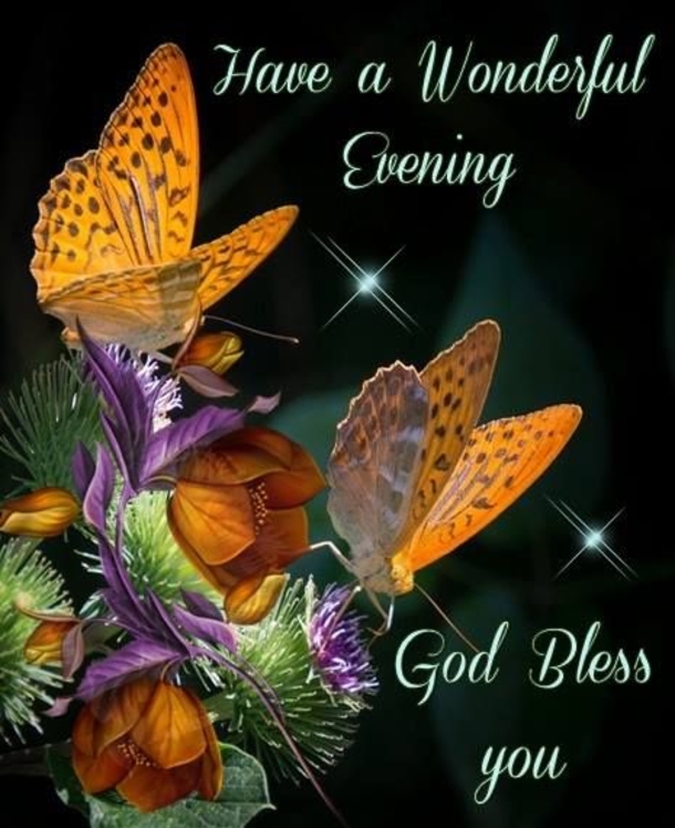 10 Wonderful Good Evening Images - picture 4