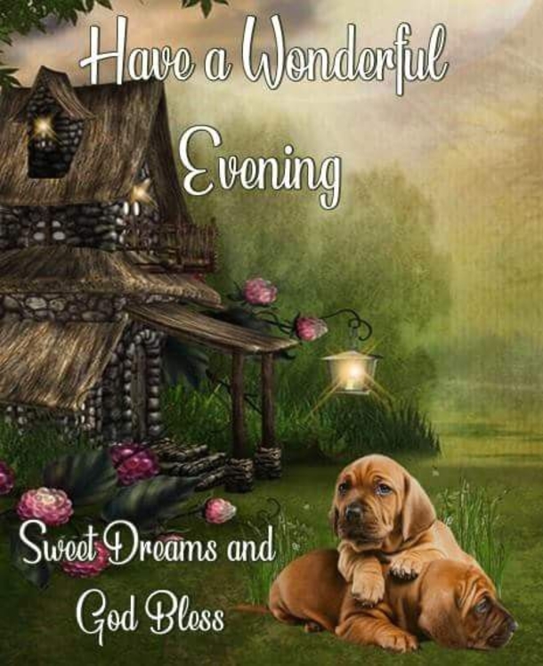 10 Wonderful Good Evening Images - picture 5
