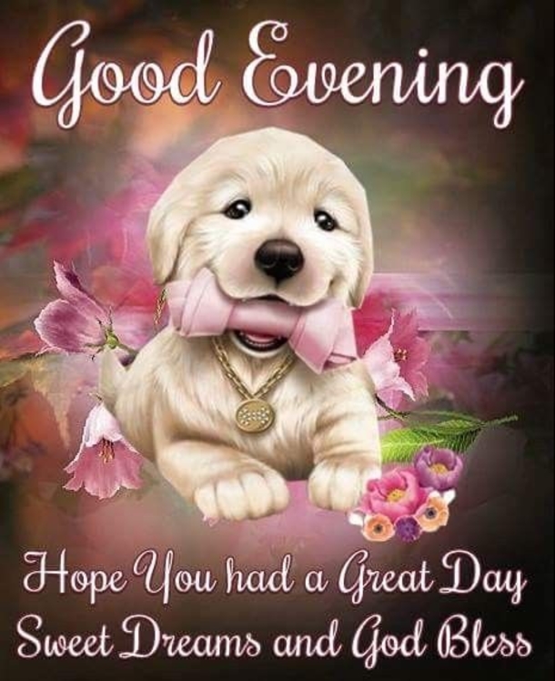 10 Wonderful Good Evening Images - picture 6