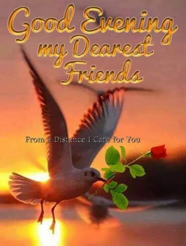 10 Wonderful Good Evening Images - picture 9