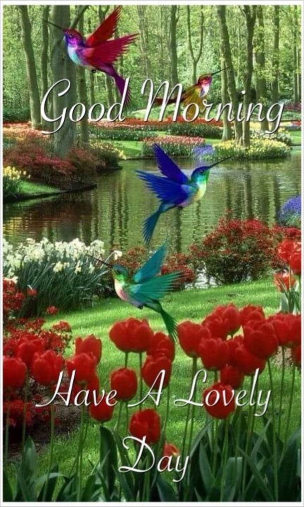 10 Wonderful Good Morning Quotes And Sayings - picture 11