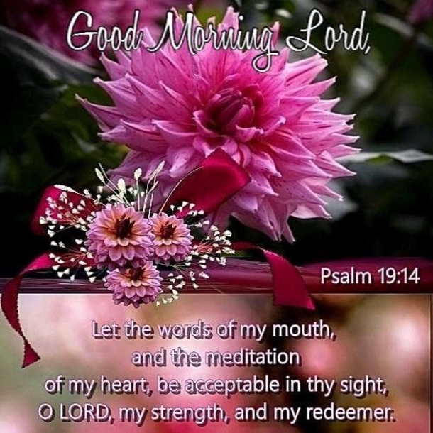 10 Wonderful Good Morning Quotes And Sayings - picture 2
