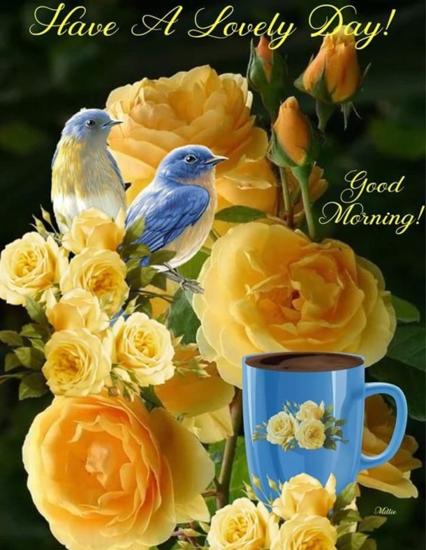 10 Wonderful Good Morning Quotes And Sayings - picture 4