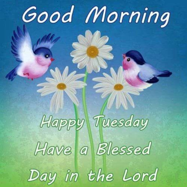 10 Wonderful Good Morning Tuesday Quotes And Sayings To Enjoy - picture 11