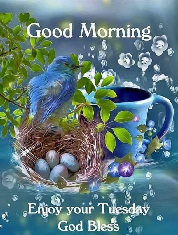 10 Wonderful Good Morning Tuesday Quotes And Sayings To Enjoy - picture 2