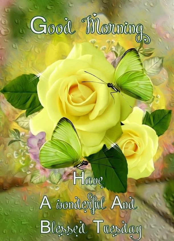 10 Wonderful Good Morning Tuesday Quotes And Sayings To Enjoy - picture 4