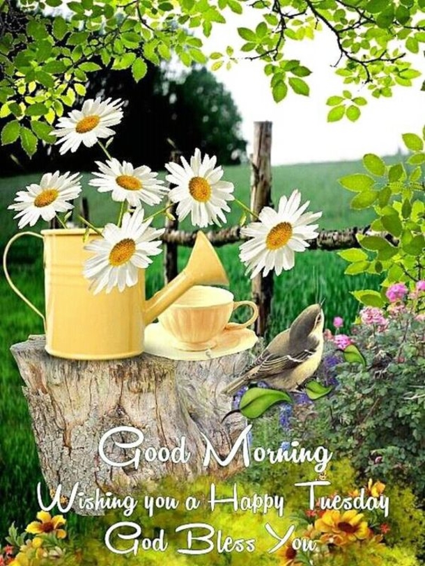 10 Wonderful Good Morning Tuesday Quotes And Sayings To Enjoy - picture 8