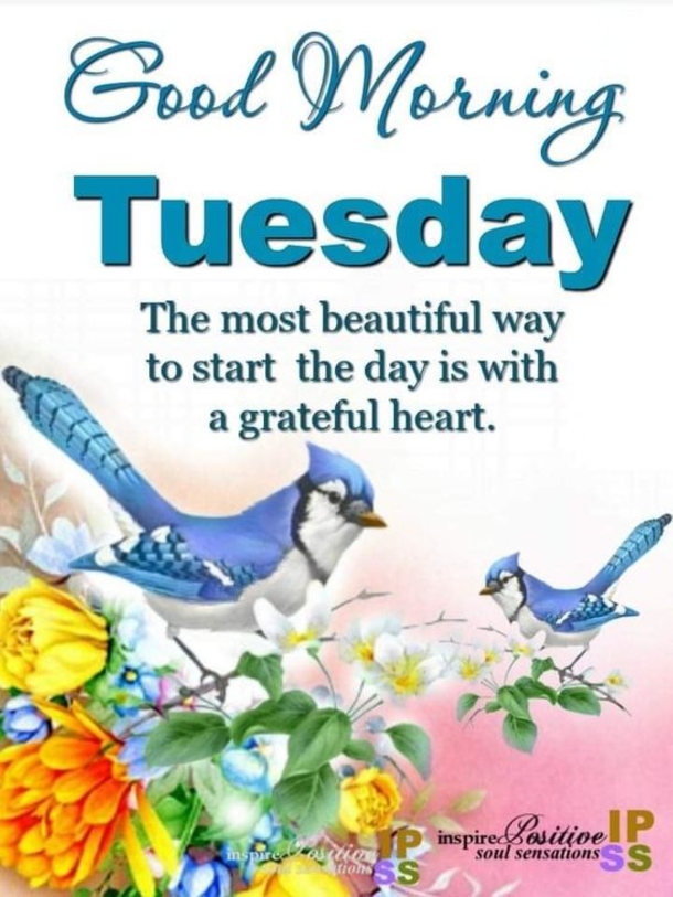 10 Wonderful Good Morning Tuesday Quotes And Sayings To Enjoy - picture 9