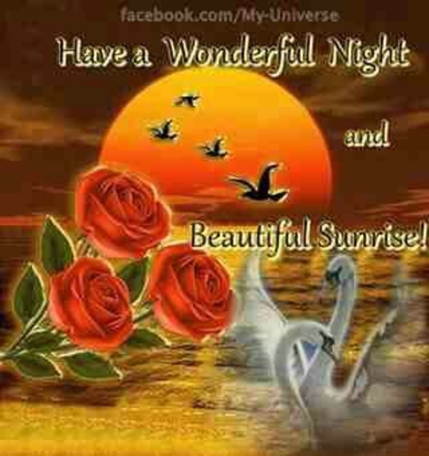 10 Wonderful Good Night Quotes And Sayings - picture 2