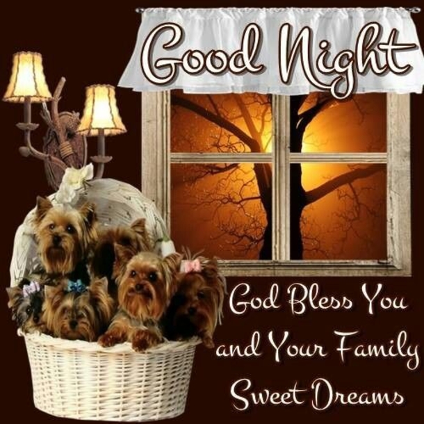 10 Wonderful Good Night Quotes And Sayings - picture 4