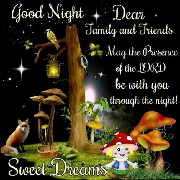 10 Wonderful Good Night Quotes And Sayings - picture 6