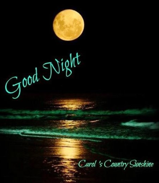 10 Wonderful Good Night Quotes And Sayings - picture 7