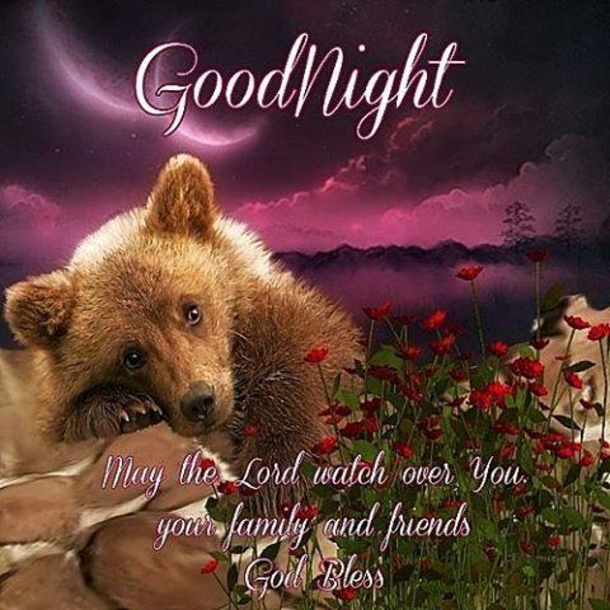 10 Wonderful Good Night Quotes To End Your Day In Peace - picture 2