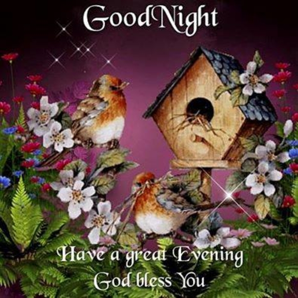 10 Wonderful Good Night Quotes To End Your Day In Peace - picture 4