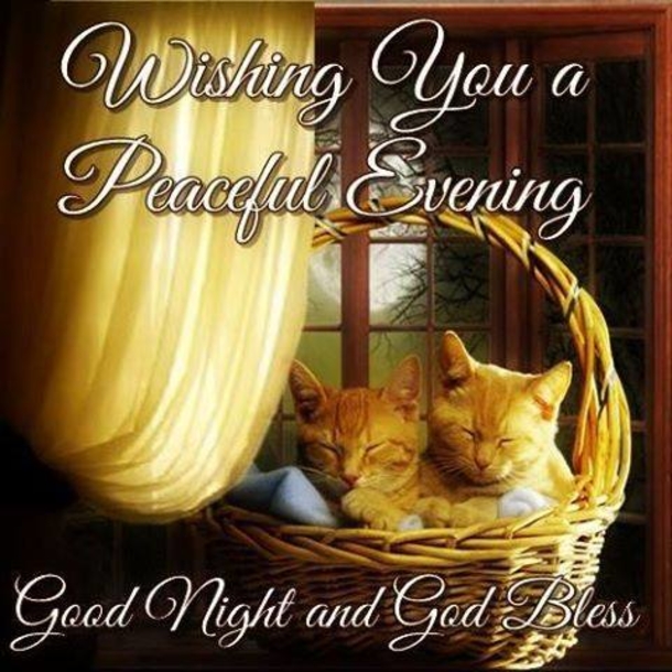 10 Wonderful Good Night Quotes To End Your Day In Peace - picture 5