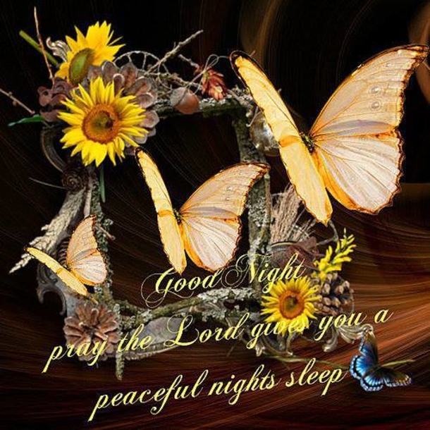 10 Wonderful Good Night Quotes To End Your Day In Peace - picture 8