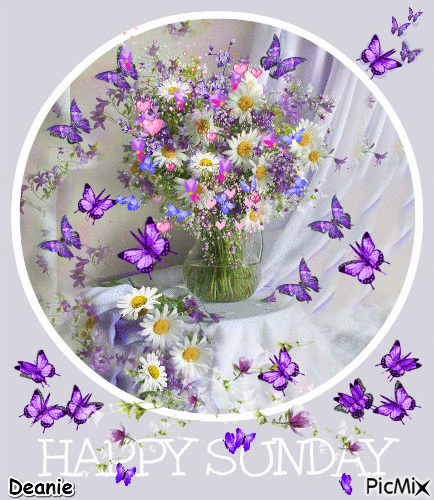 10 Wonderful Happy Sunday Gifs To Enjoy - picture 11
