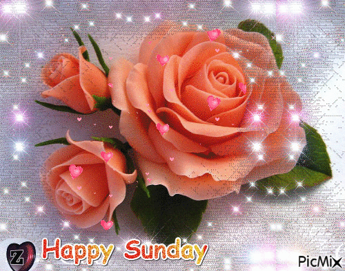 10 Wonderful Happy Sunday Gifs To Enjoy - picture 5