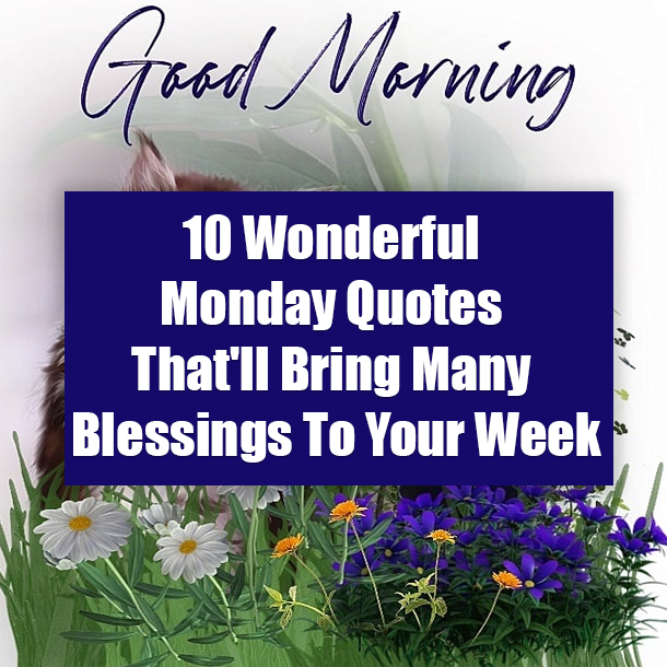 10 Wonderful Monday Quotes That'll Bring Many Blessings To Your Week