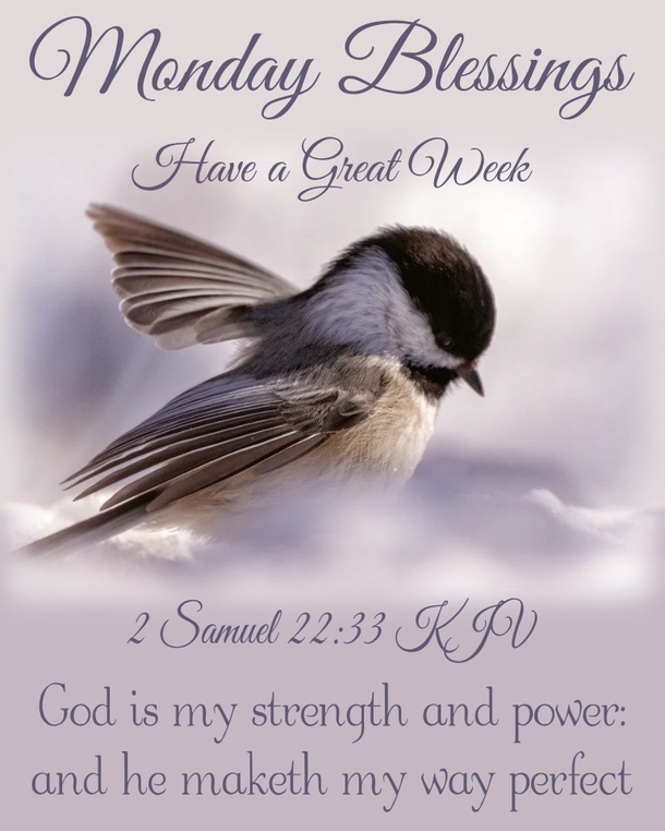 10 Wonderful Monday Quotes That'll Bring Many Blessings To Your Week - picture 6