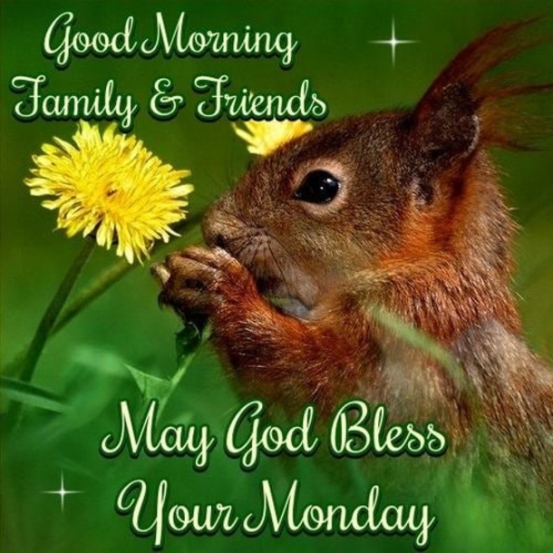 10 Wonderful Monday Quotes That'll Bring Many Blessings To Your Week - picture 9