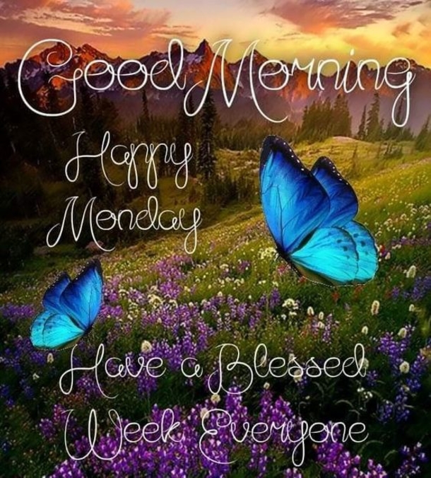 10 Wonderful New Monday Good Morning Quotes - picture 11