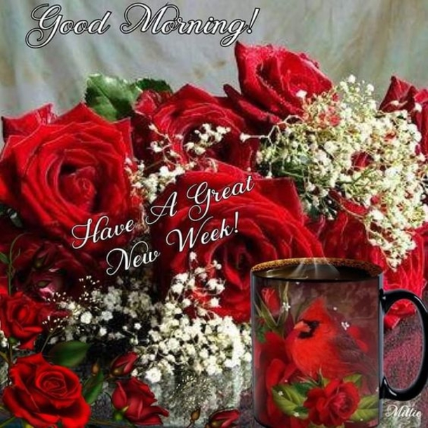 10 Wonderful New Monday Good Morning Quotes - picture 3