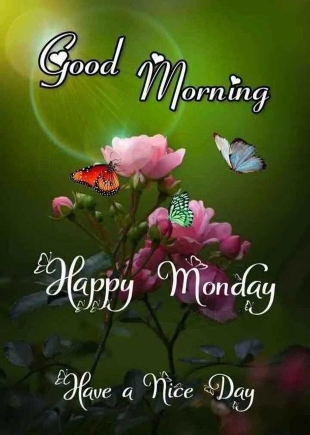 10 Wonderful New Monday Good Morning Quotes - picture 6