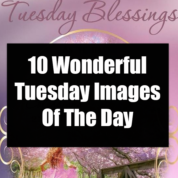 10 Wonderful Tuesday Images For The Day