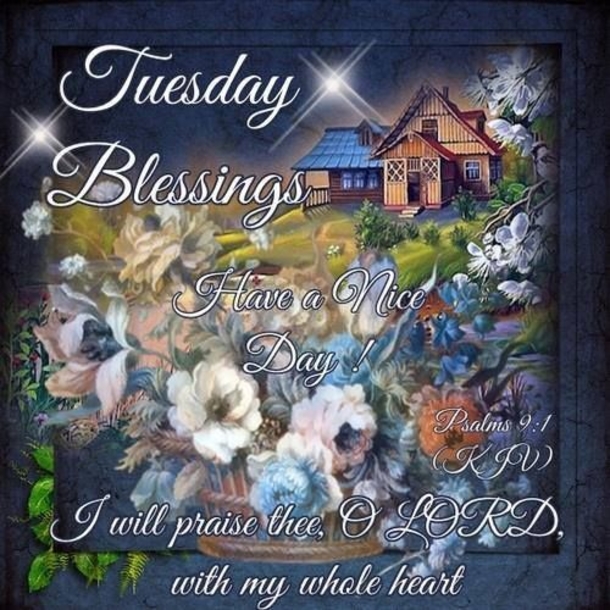 10 Wonderful Tuesday Images For The Day - picture 8