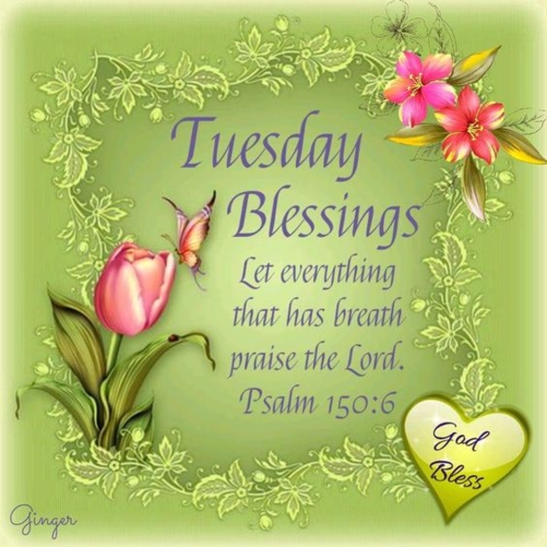 10 Wonderful Tuesday Images For The Day - picture 9