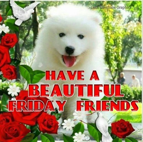 10 Wonderful Wishes For Friday - picture 8