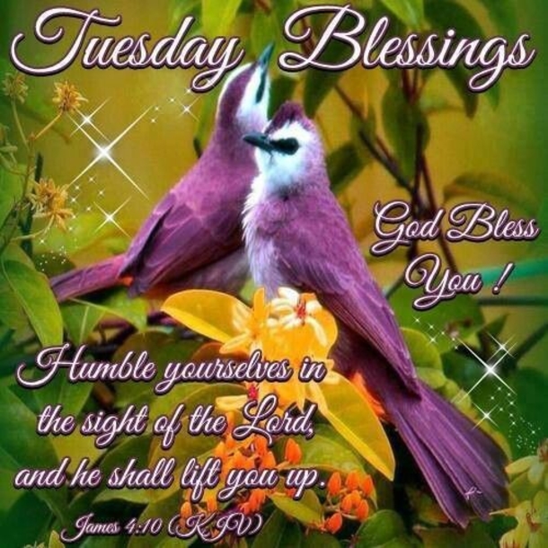 10 Wonderful & Inspiring Tuesday Quotes - picture 10