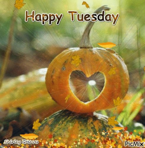 10 Wonderful & Inspiring Tuesday Quotes - picture 2