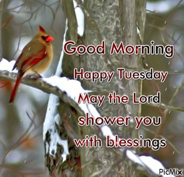 10 Wonderful & Inspiring Tuesday Quotes - picture 7