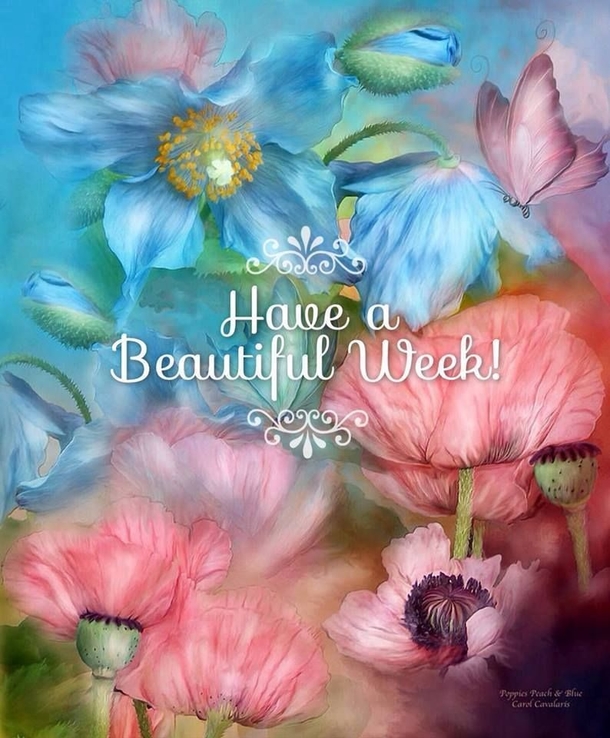10 'Have A Beautiful Week' Quotes, Sayings And Wishes - picture 4
