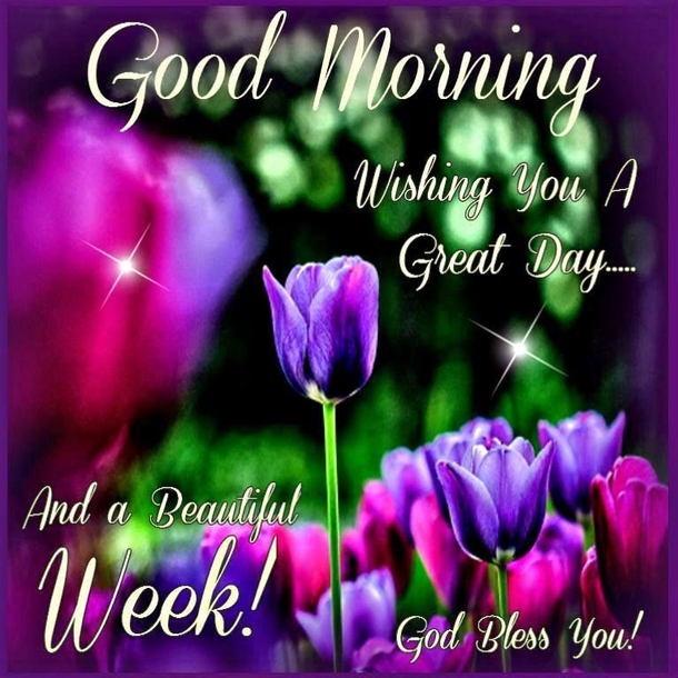 10 'Have A Beautiful Week' Quotes, Sayings And Wishes - picture 7