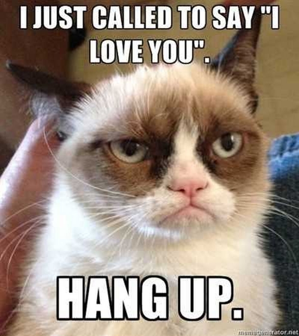 10 'I Love You' Memes To Share With Your Loved Ones - picture 6