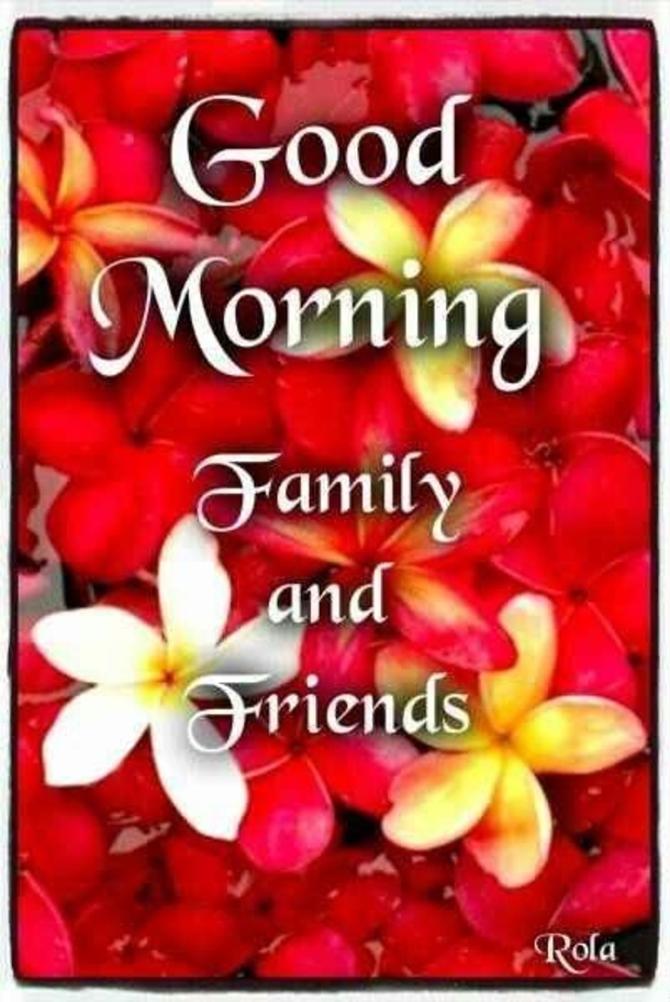 100+ Best Good Morning Images And Quotes - picture 118
