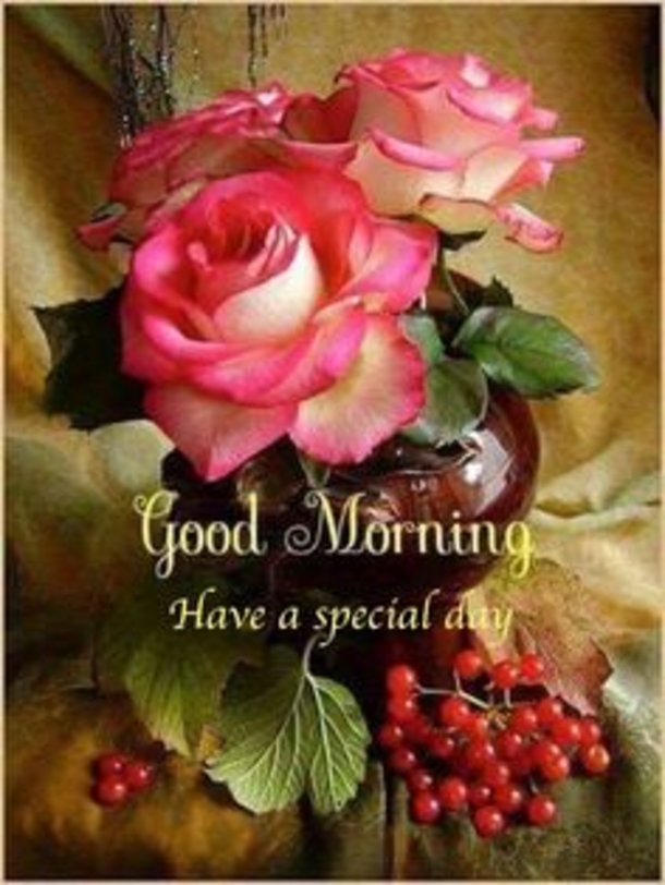 100+ Best Good Morning Images And Quotes - picture 24