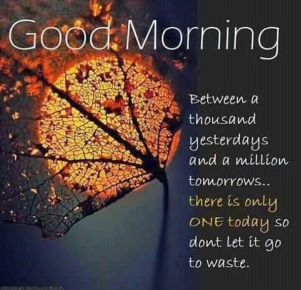 100+ Best Good Morning Images And Quotes - picture 3