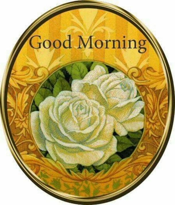 100+ Best Good Morning Images And Quotes - picture 32