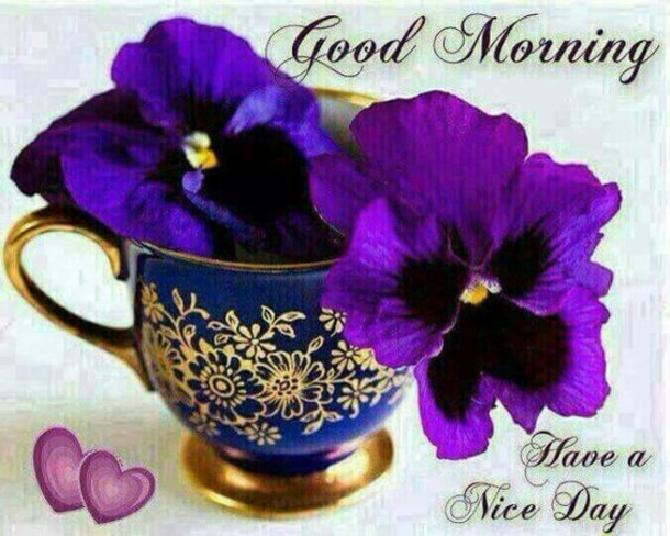 100+ Best Good Morning Images And Quotes - picture 34